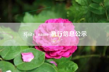 齐河执行信息公示