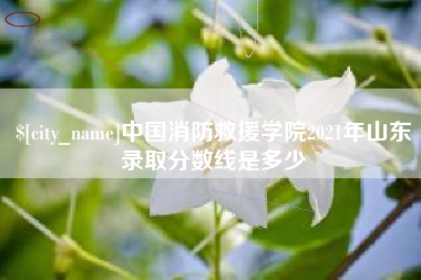 齐河中国消防救援学院2021年山东录取分数线是多少