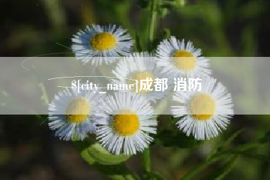 齐河成都 消防