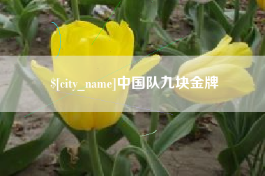 齐河中国队九块金牌
