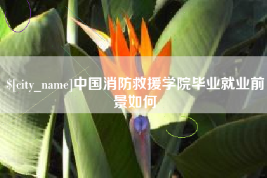 齐河中国消防救援学院毕业就业前景如何