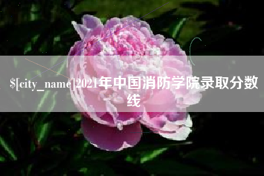 齐河2021年中国消防学院录取分数线