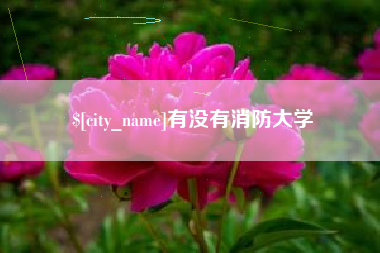 齐河有没有消防大学