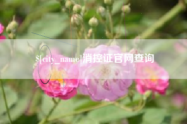 齐河消控证官网查询
