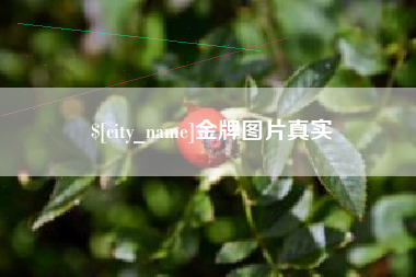 齐河金牌图片真实