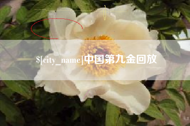 齐河中国第九金回放