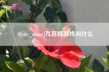齐河九宫格游戏叫什么