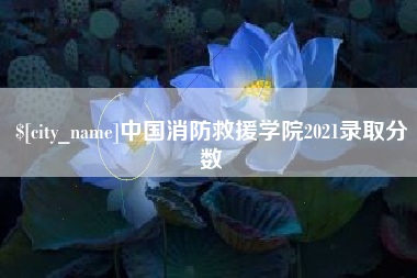齐河中国消防救援学院2021录取分数
