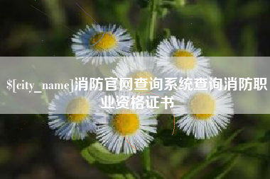 齐河消防官网查询系统查询消防职业资格证书