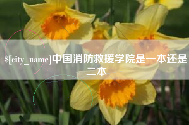 齐河中国消防救援学院是一本还是二本