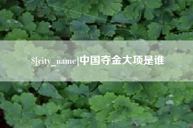 齐河中国夺金大项是谁
