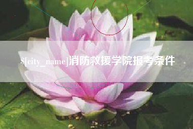 齐河消防救援学院报考条件