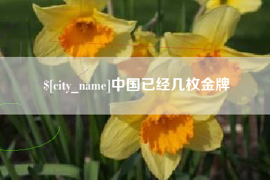 齐河中国已经几枚金牌