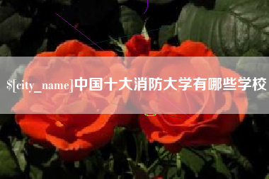 齐河中国十大消防大学有哪些学校