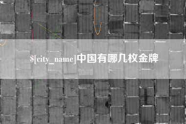 齐河中国有哪几枚金牌