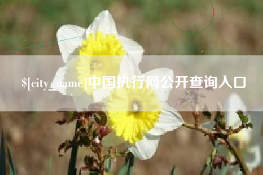 齐河中国执行网公开查询入口
