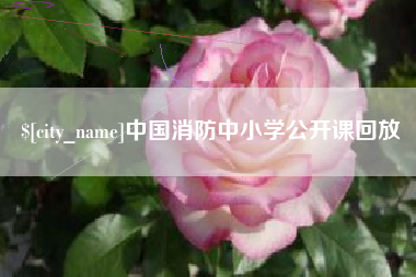 齐河中国消防中小学公开课回放