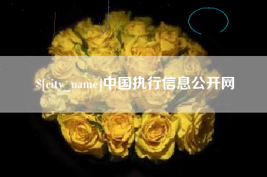 齐河中国执行信息公开网