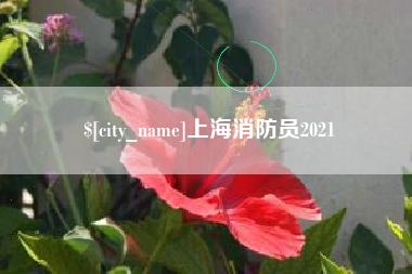 齐河上海消防员2021