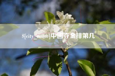 齐河中国夺金排第几