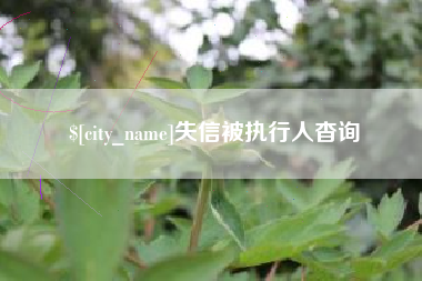 齐河失信被执行人杳询