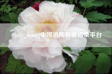 齐河中国消防救援招录平台