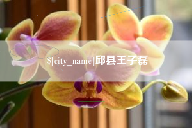 齐河邱县王子磊