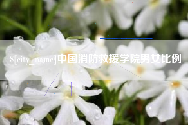 齐河中国消防救援学院男女比例
