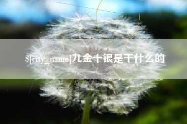 齐河九金十银是干什么的