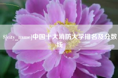 齐河中国十大消防大学排名及分数线
