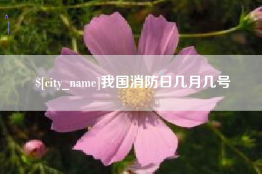 齐河我国消防日几月几号