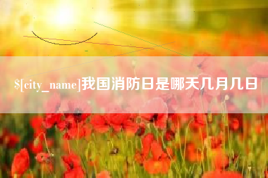 齐河我国消防日是哪天几月几日