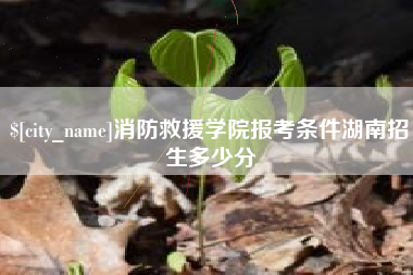 齐河消防救援学院报考条件湖南招生多少分