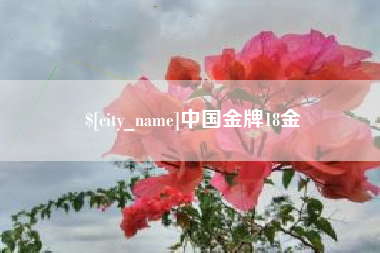 齐河中国金牌18金