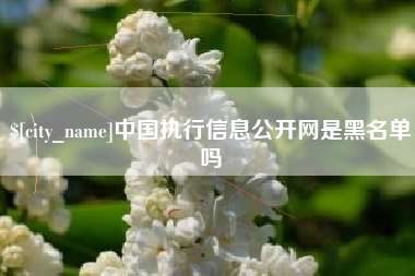 齐河中国执行信息公开网是黑名单吗