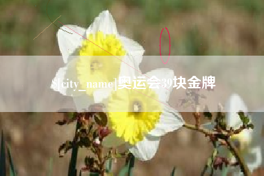 齐河奥运会39块金牌