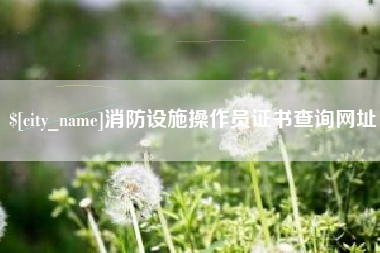 齐河消防设施操作员证书查询网址