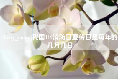 齐河我国119消防日宣传日是每年的几月几日