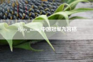 齐河中国冠军九宫格