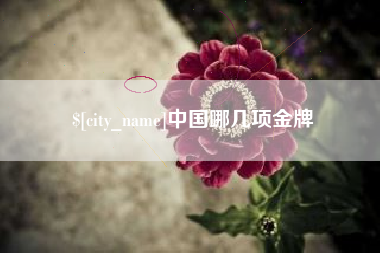 齐河中国哪几项金牌
