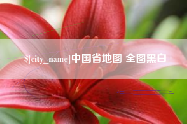 齐河中国省地图 全图黑白