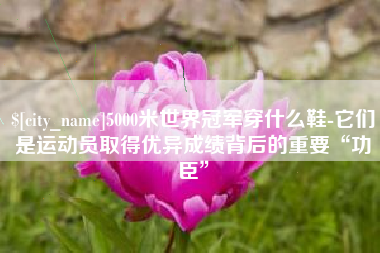 齐河5000米世界冠军穿什么鞋-它们是运动员取得优异成绩背后的重要“功臣”