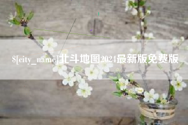 齐河北斗地图2024最新版免费版