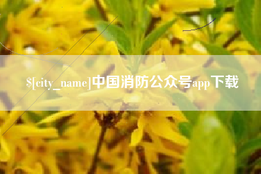 齐河中国消防公众号app下载