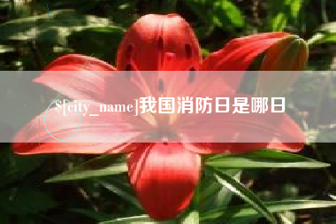 齐河我国消防日是哪日