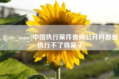 齐河中国执行案件查询公开网都是执行不了得案子