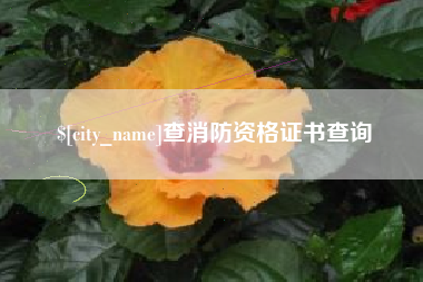 齐河查消防资格证书查询
