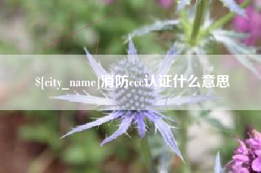 齐河消防ccc认证什么意思