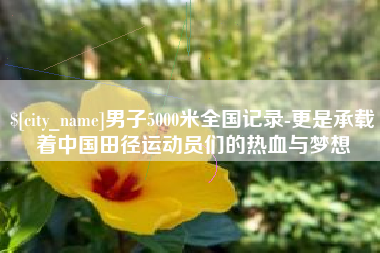 齐河男子5000米全国记录-更是承载着中国田径运动员们的热血与梦想