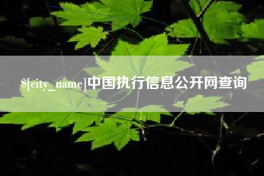 齐河中国执行信息公开网查询